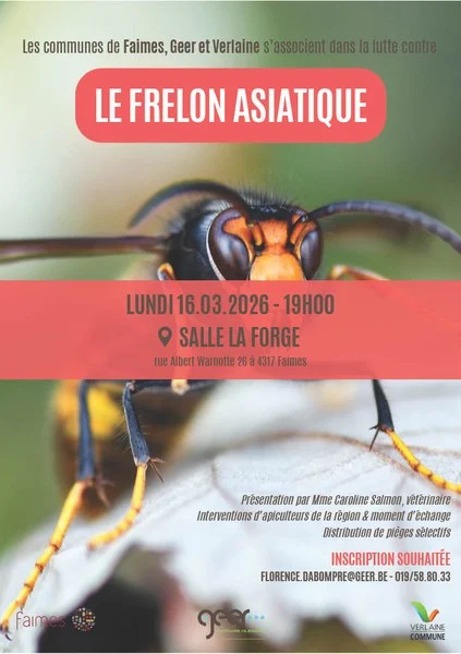 Affiche de la conférence sur le frelon asiatique
