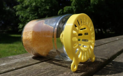 Frelon Asiatique : La Stratégie de Lutte Raisonnée (Dr C. Salmon) – Faimes, Geer, Verlaine