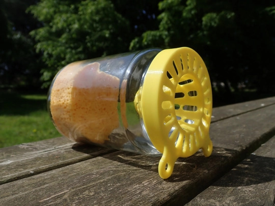 piège sélectif pour frelon asiatique