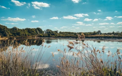 Les oiseaux de la réserve naturelle du Haut-Geer