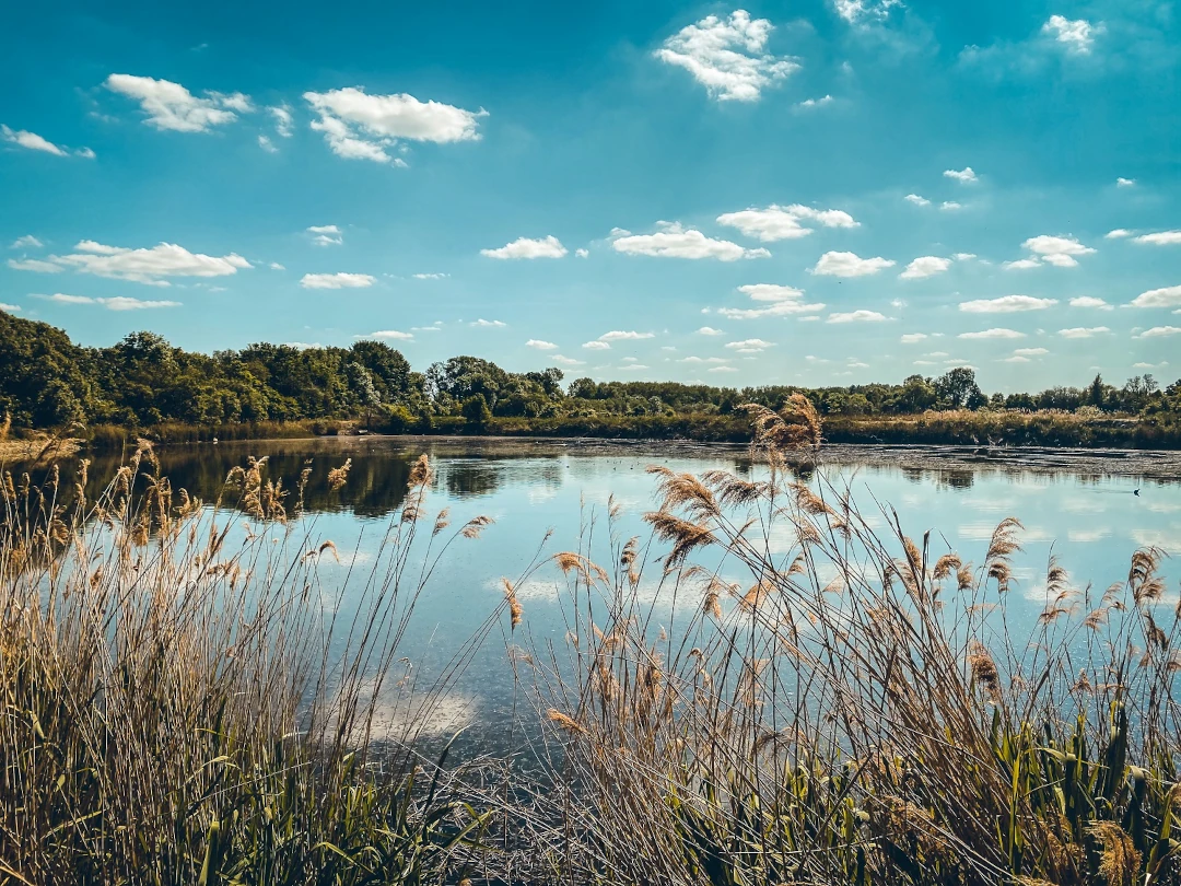 Photo d'un des bassins de la réserve du Haut-Geer