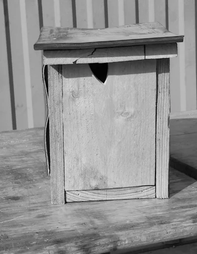 Nichoir pour mésange bleue sur table de l'atelier